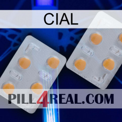 Cial 25